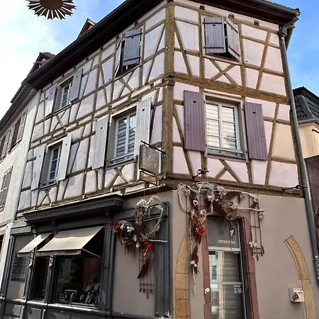 Lägenhet Le Bijou De Leyna Colmar